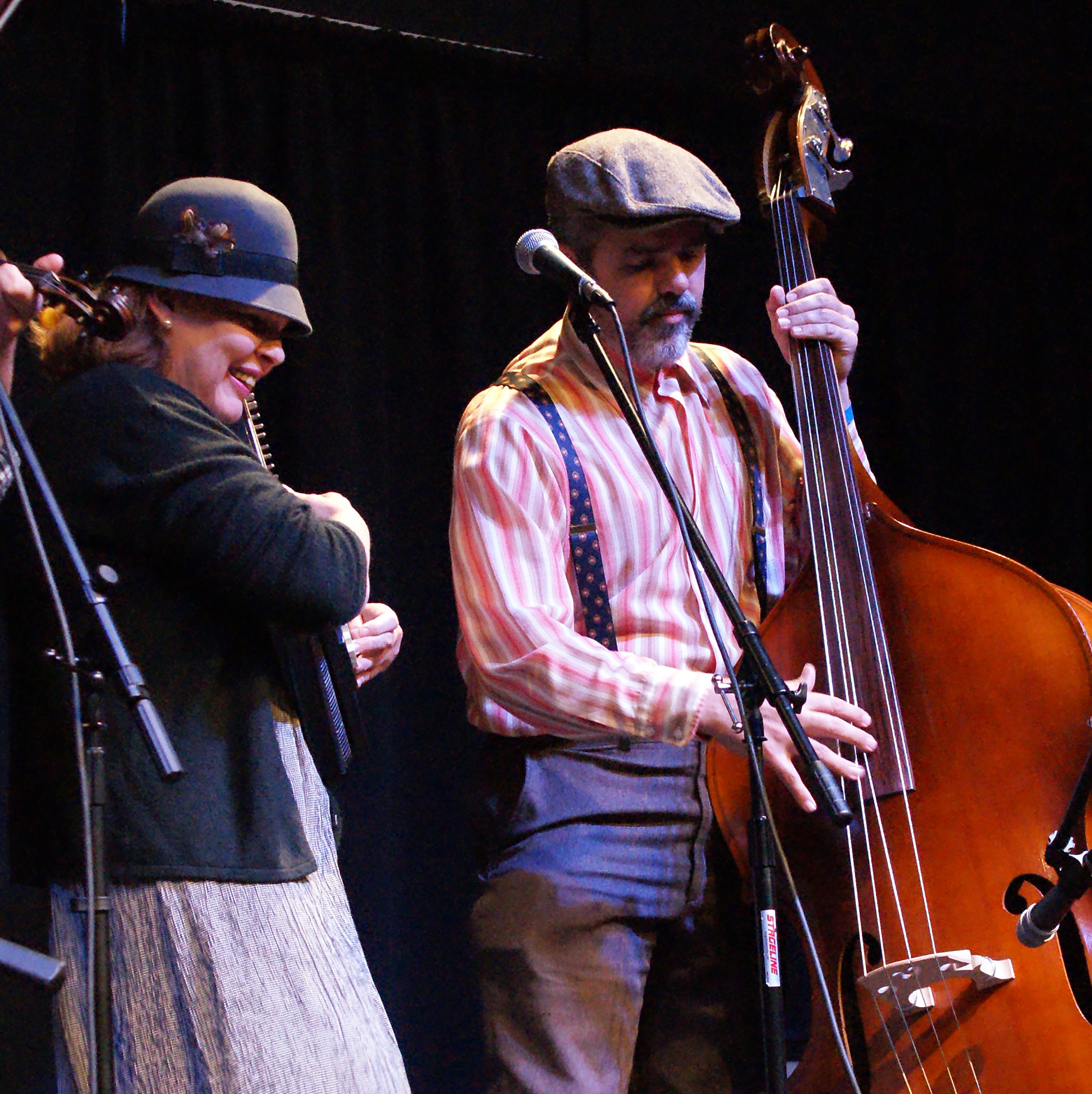 String Band Harris Arts Center